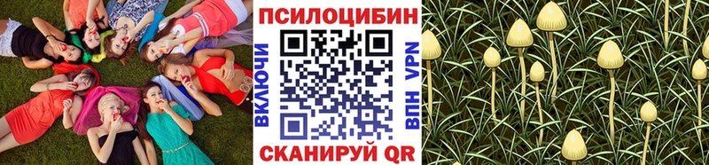 Псилоцибиновые грибы Magic Shrooms  как найти   KRAKEN вход  Серафимович 